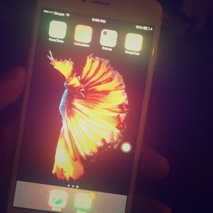 iphone 7s plus unlocked